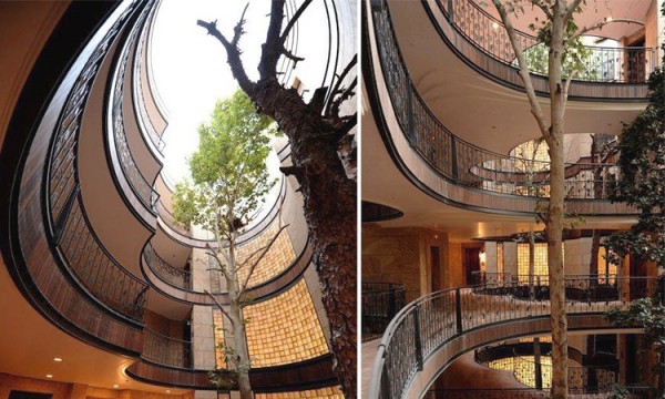這才是真正的樹屋！與樹共生的5間特殊設計建築