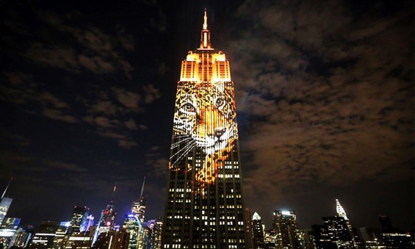 【影片】160種瀕臨絕種的動物出現在帝國大廈！動物們的諾亞方舟燈光秀在紐約登場