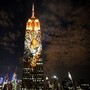 【影片】160種瀕臨絕種的動物出現在帝國大廈！動物們的諾亞方舟燈光秀在紐約登場