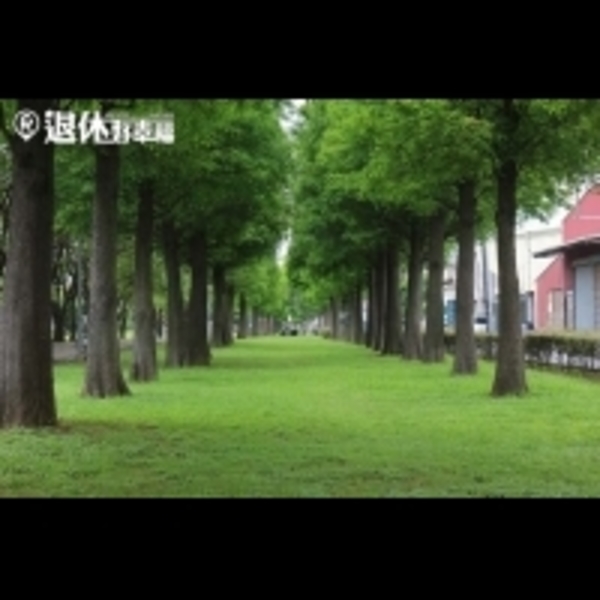 落羽松大道美翻！造訪桃園私房3大森林景點，一家人同遊的好去處～