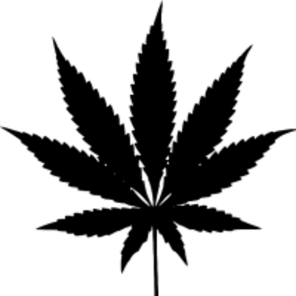 加拿大確定大麻合法化，關於大麻你應知道的五個爭議