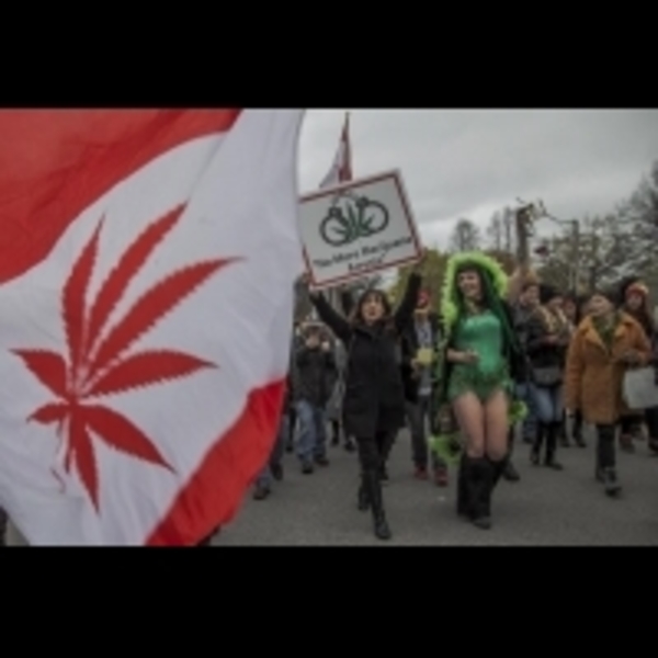 加拿大大麻合法化（上）一個時代風潮的改變