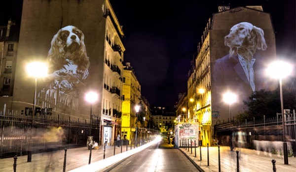 【影片】野放巴黎！城市投影將巴黎街頭變成夜間動物園