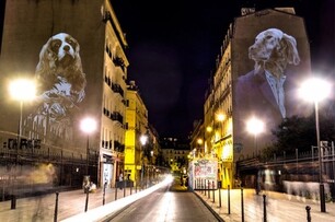 【影片】野放巴黎！城市投影將巴黎街頭變成夜間動物園