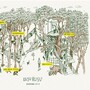 樹屋達人小林崇打造日本最大樹屋 一起住在300年的古樟木裡吧！
