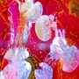 蜷川實花打造的「水母萬花筒隧道」！3大日本最新夢幻水族館特輯