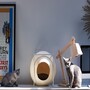 【影片】讓愛貓也成為一種時尚 Meyou貓公寓妝點你我的現代宅