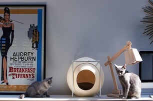 【影片】讓愛貓也成為一種時尚 Meyou貓公寓妝點你我的現代宅
