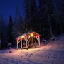 藝術家們的駐村日常：蔡芷芬私訪芬蘭森林秘境