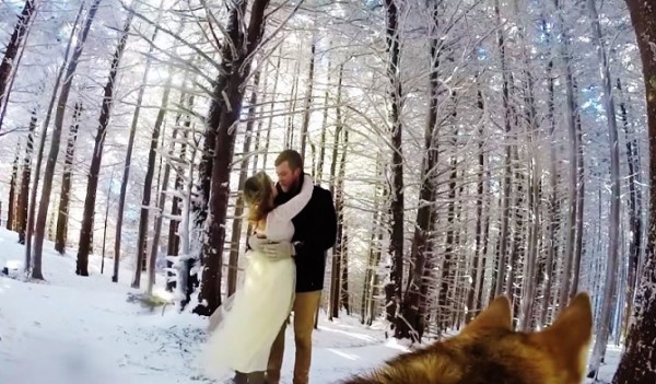 【影片】意想不到的超級神秘攝影師？！ 這段精彩婚禮紀錄 全由「牠」掌鏡！