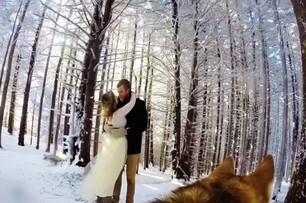 【影片】意想不到的超級神秘攝影師？！ 這段精彩婚禮紀錄 全由「牠」掌鏡！