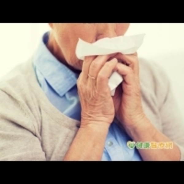 過敏性鼻炎難根治　中醫保健緩解