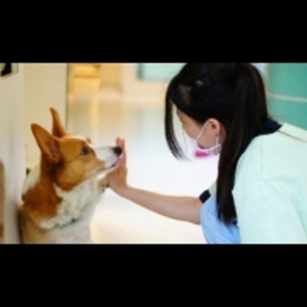 學會正確的生命教育，對毛小孩的善待與尊重