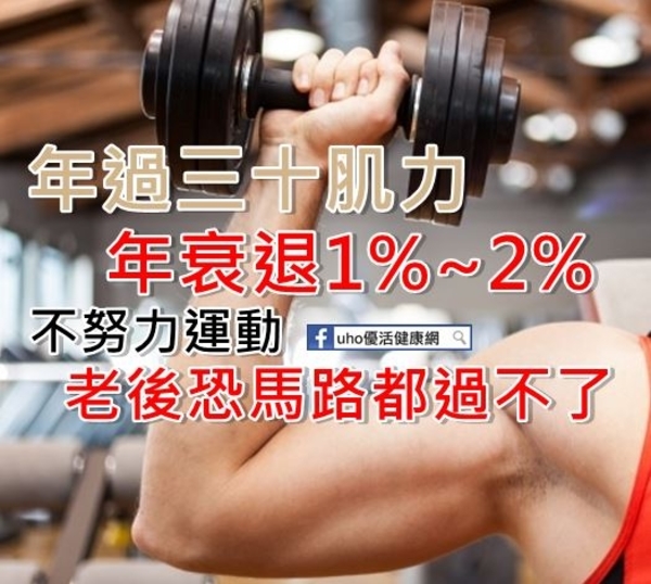 30歲後肌力年衰退1％