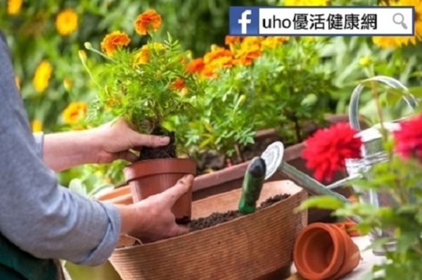 植物真的有療癒力？！醫：園藝治療對抗文明病....