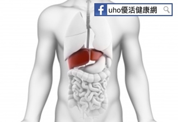 健康食品能護肝？醫師：根本無效