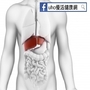 健康食品能護肝？醫師：根本無效