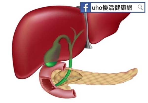 沉默殺手肝癌！6大發生原因你不可不知