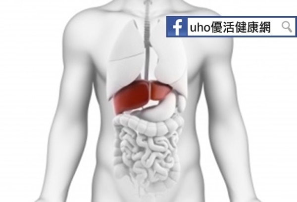 Ｃ型肝炎不治療　肝癌風險恐激增