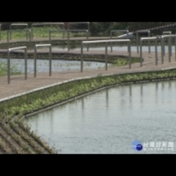 體驗浮萍水上漂　發現竹市港北新亮點