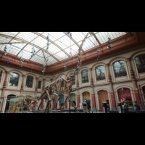 影／CNN評「全球前十大恐龍博物館」！公視前進前進德國探訪，這景象讓主持人瞬間落淚