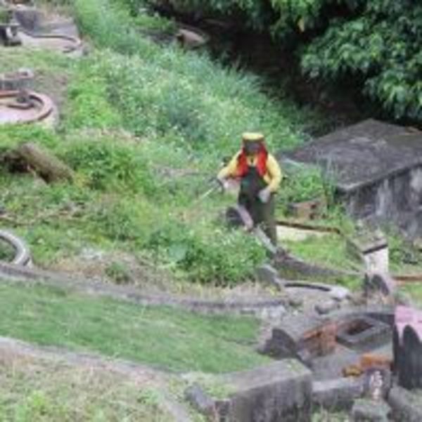 新北公墓全面除草作業　便利民眾清明祭祖掃墓