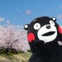 影／「熊本熊」根本不是熊！日本人驚爆他真實身份 台網友全傻了
