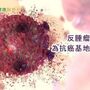 癌症疫苗新療法　腫瘤化為抗癌工廠