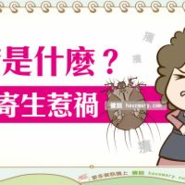 什麼是疥瘡？