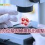 罕見基因突變創新點　精準標靶治療抗癌