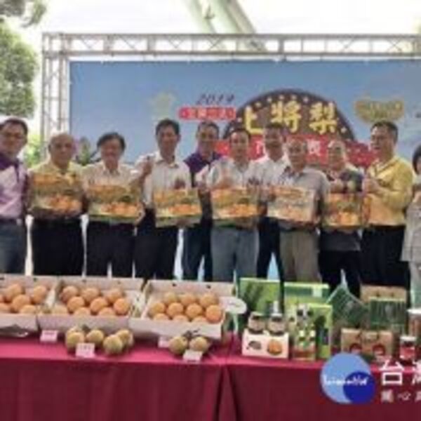 三星上將梨上市　要吃好梨請快