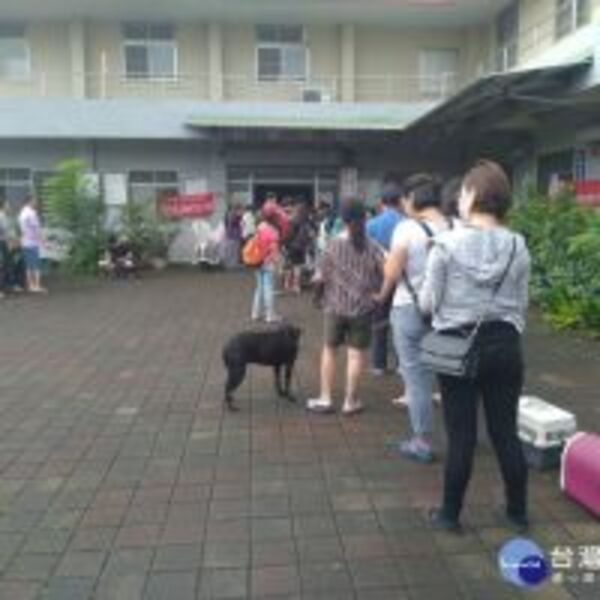 暑假大型犬貓絕育活動　高市動保處限量免費開辦