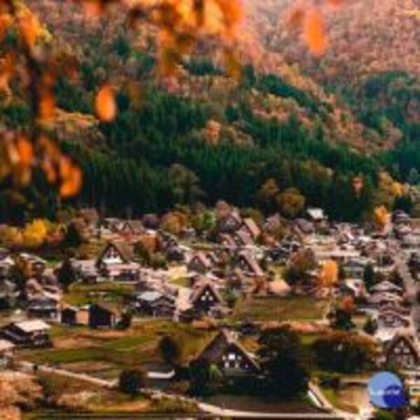 熱門賞楓景點懶人包一次看　清艙搶優惠第二人折六千