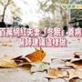 百萬網紅夫妻「冬眠」養病　憂鬱症不復發！醫師建議這樣做