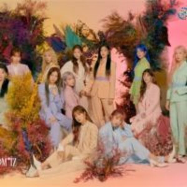 AKB48公司將作為新法人支援IZ*ONE日本活動