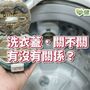 洗衣機蓋該打開嗎？　有「黴」有關係，專家告訴你