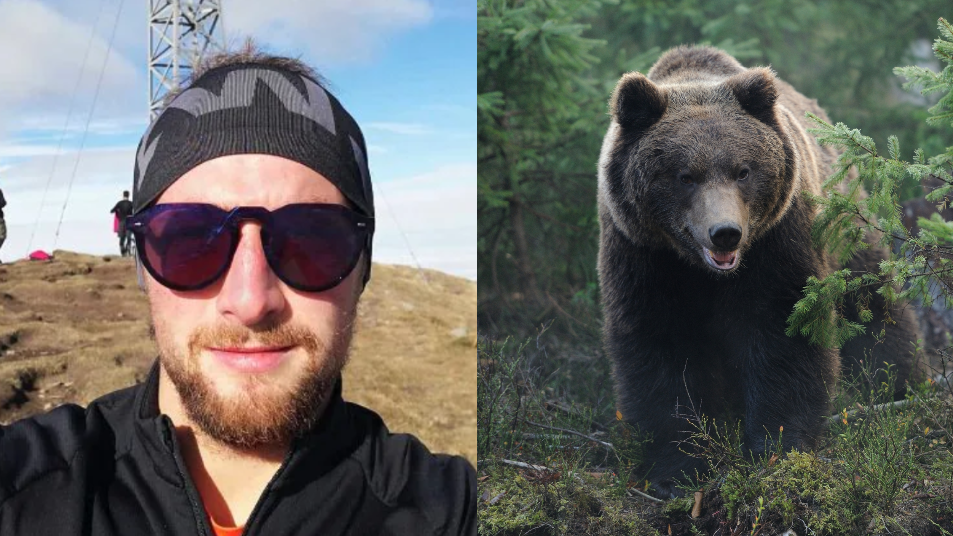 女友找不到人！26歲鮮肉慢跑遇棕熊　竟被拖進森林「撕咬剖腹」慘死