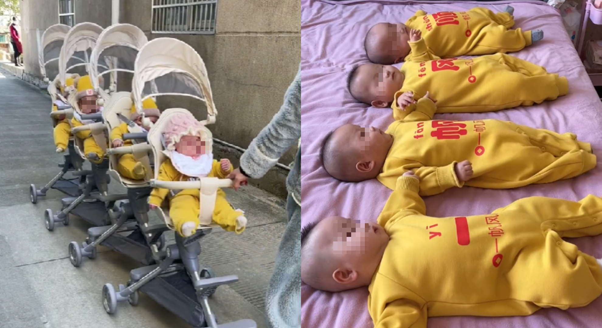中國浙江人妻剛產3女1男竟又懷上4胞胎