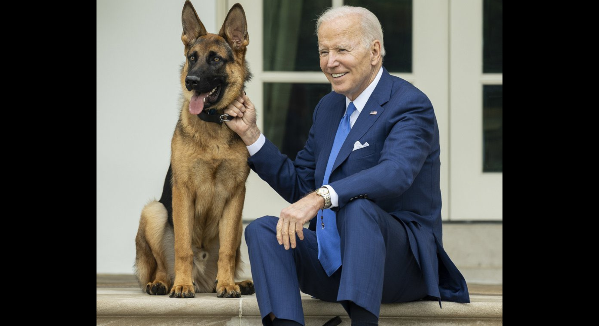 美國總統拜登愛犬「司令」因咬傷人已被送離白宮