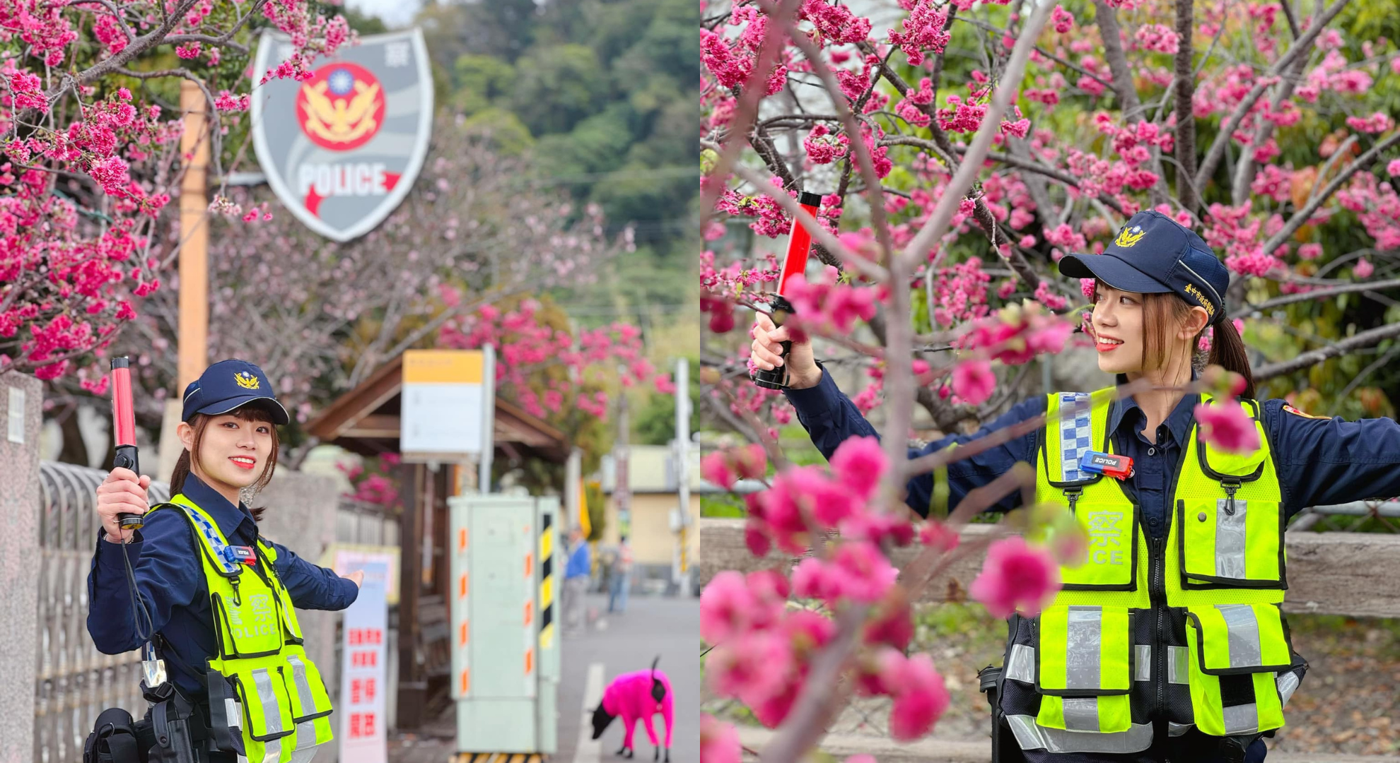 台中櫻花季「最美派出所」Feat.超正女警！民眾朝聖卻撲空　警方回應了