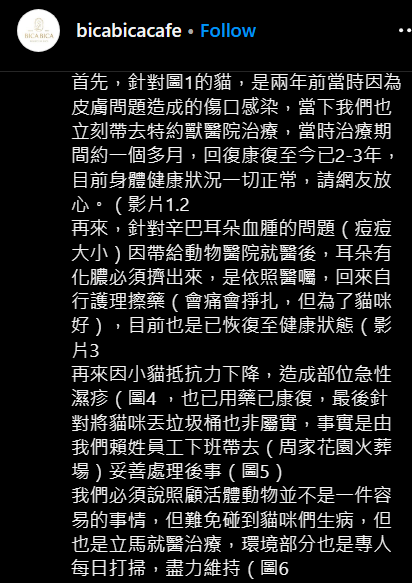 台中網紅咖啡廳驚爆虐貓動保處發聲了