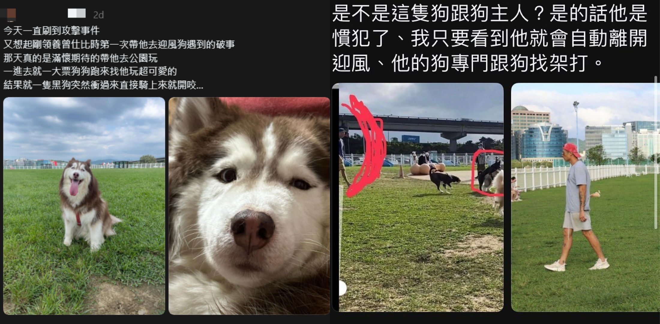 網紅Ray被曝3年來放任愛犬四處攻擊其他狗狗