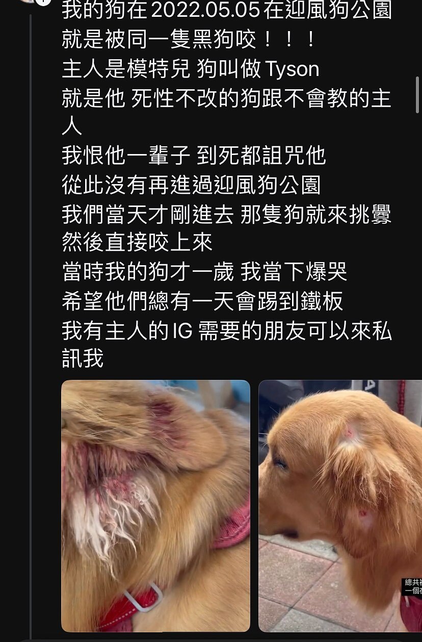 網紅Ray被曝3年來放任愛犬四處攻擊其他狗狗