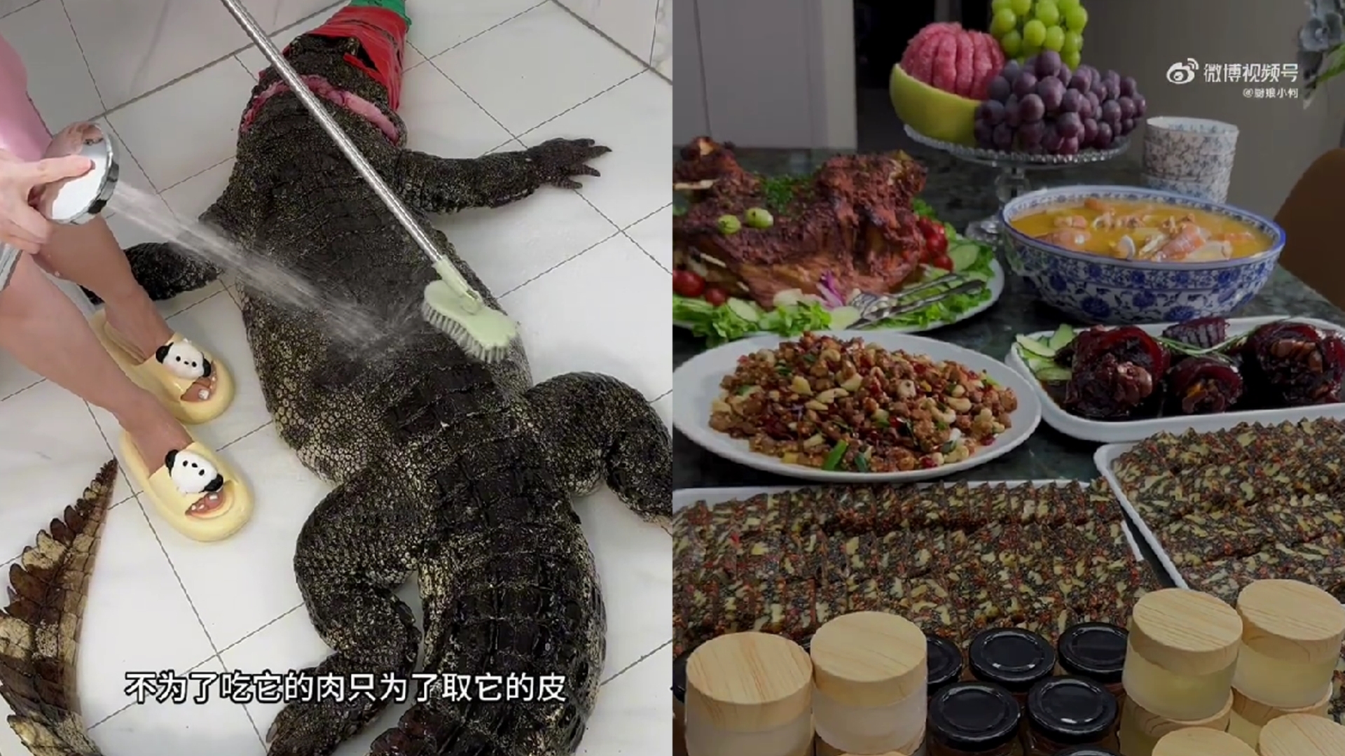 網紅買90KG鱷魚「只為做包包」！剝皮、料理影片曝光　網轟：太噁心