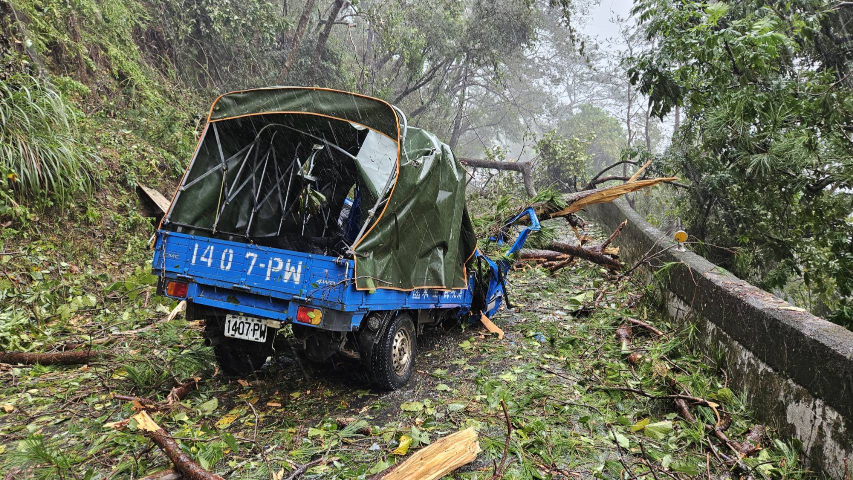 強颱康芮奪命！合歡山公路「路樹砸車」釀1死1傷　現場畫面曝光