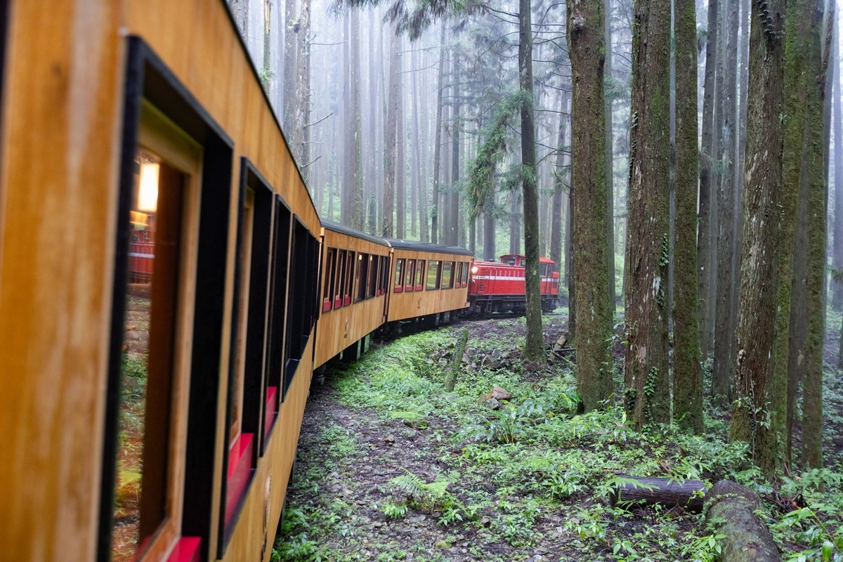 「福森號Formosensis」阿里山林鐵全新觀光列車首航　體驗移動美術館的魅力