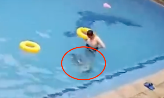 童泳池溺水掙扎！中國男泳客全程「站旁邊看」　7分鐘無人救援死亡