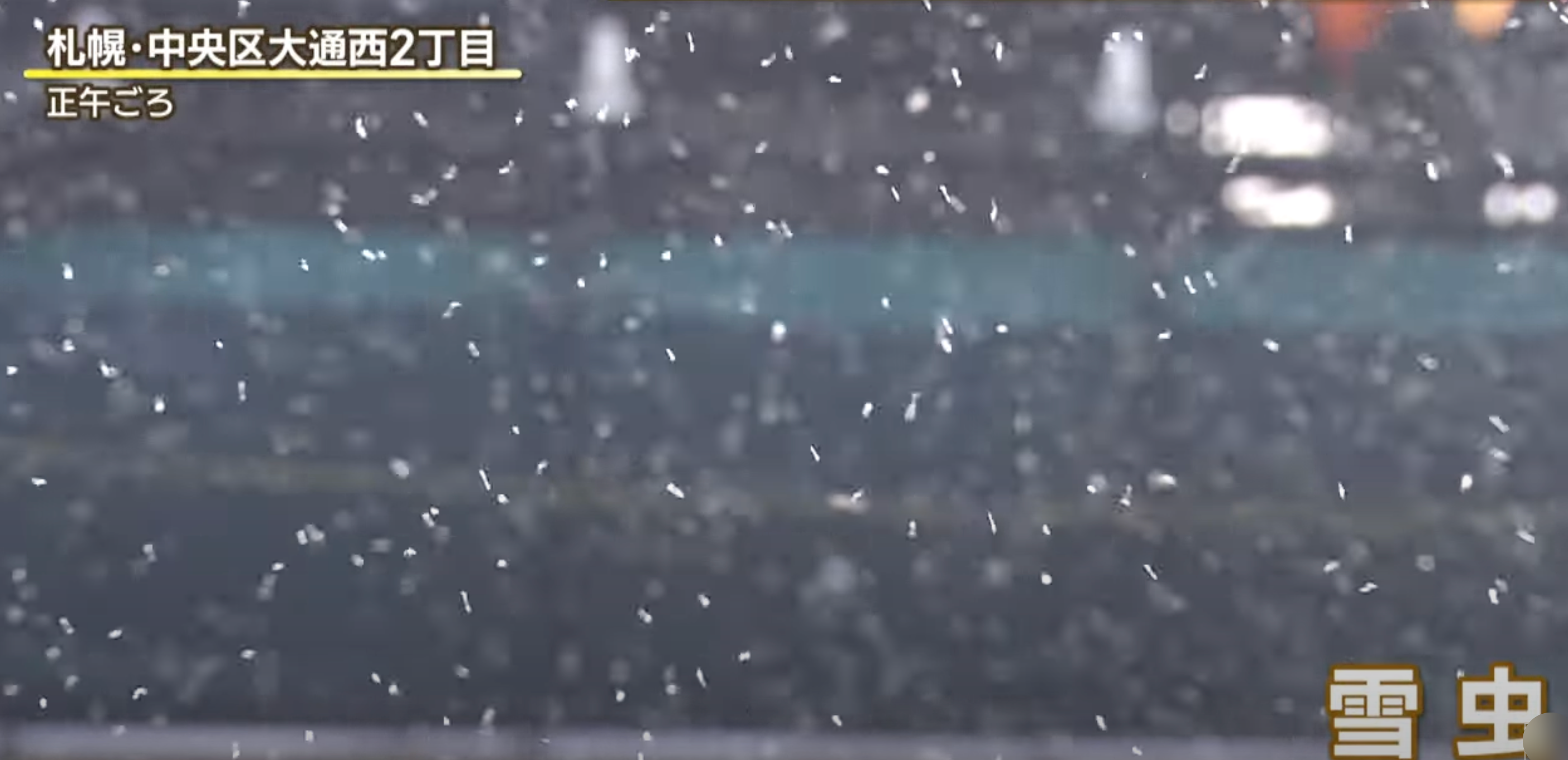 超可怕！北海道將迎初雪「空中全是雪蟲」　民眾慌：出個門滿臉都是