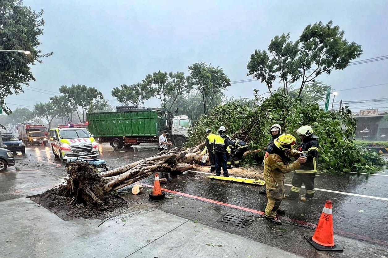 凱米升級強颱！高雄路樹、路燈倒塌　64歲女騎士慘遭砸中搶救不治