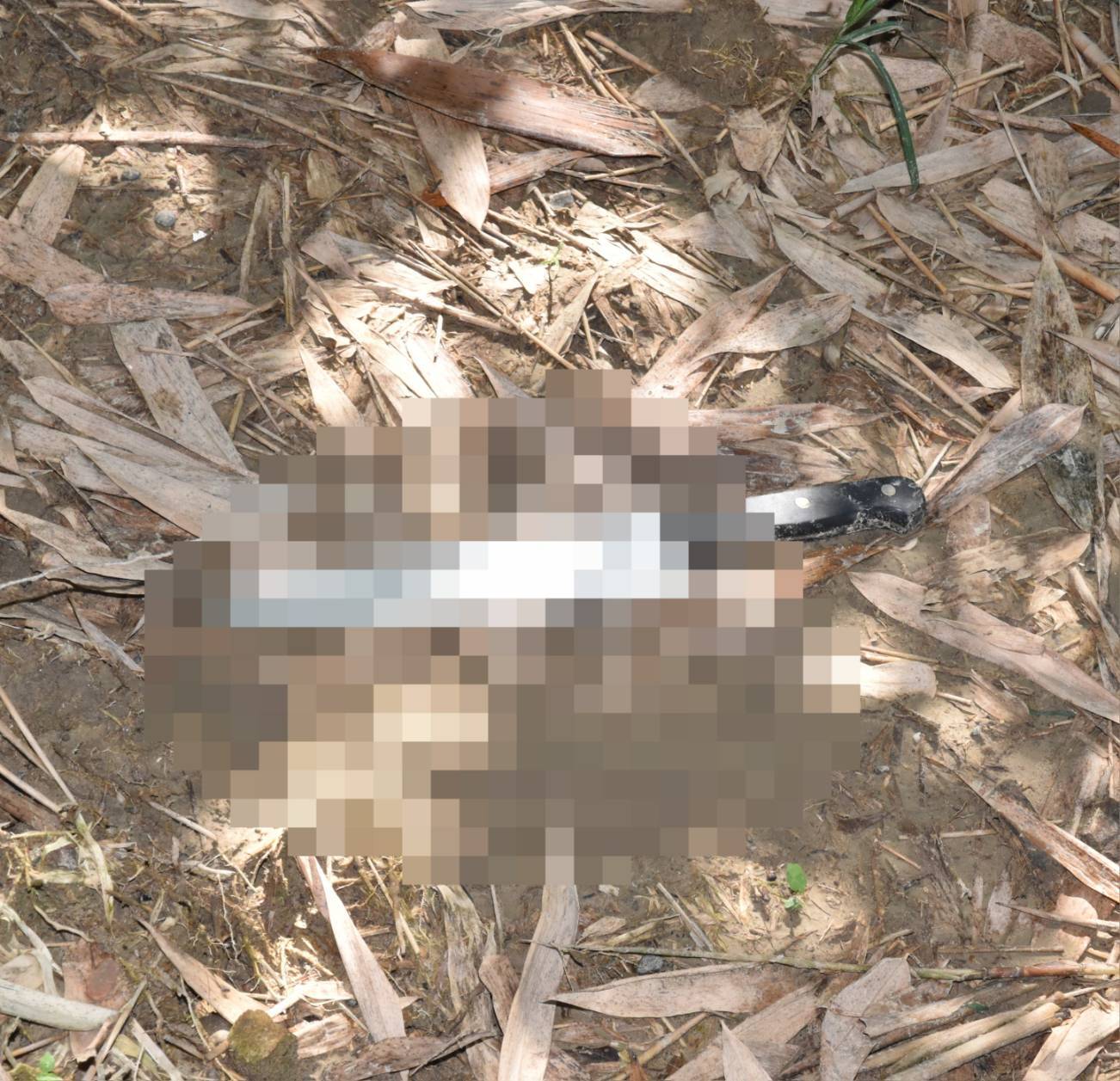 台中恐怖命案！男一週前才被「斷手斷腳」　出院又遭街頭刺死